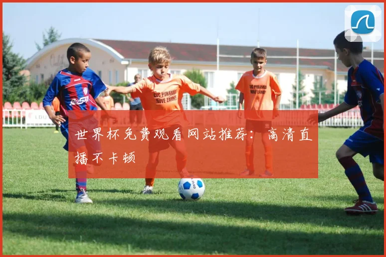 世界杯免费观看网站推荐:高清直播不卡顿