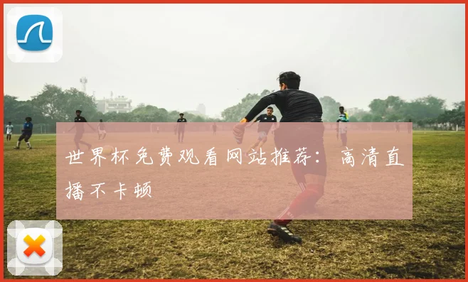 世界杯免费观看网站推荐:高清直播不卡顿