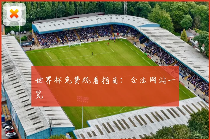 世界杯免费观看指南：合法网站一览