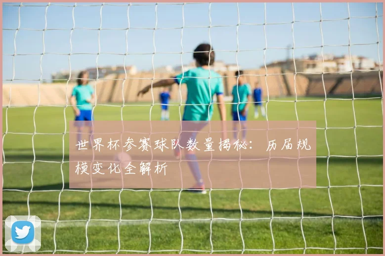 世界杯参赛球队数量揭秘：历届规模变化全解析