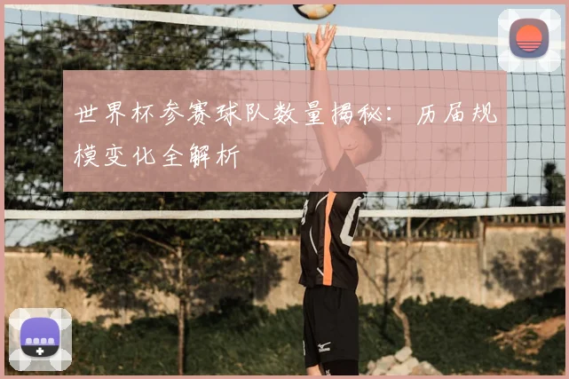 世界杯参赛球队数量揭秘：历届规模变化全解析