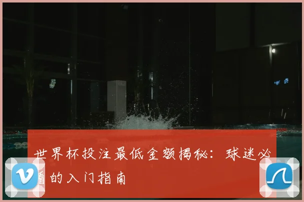 世界杯投注最低金额揭秘：球迷必看的入门指南