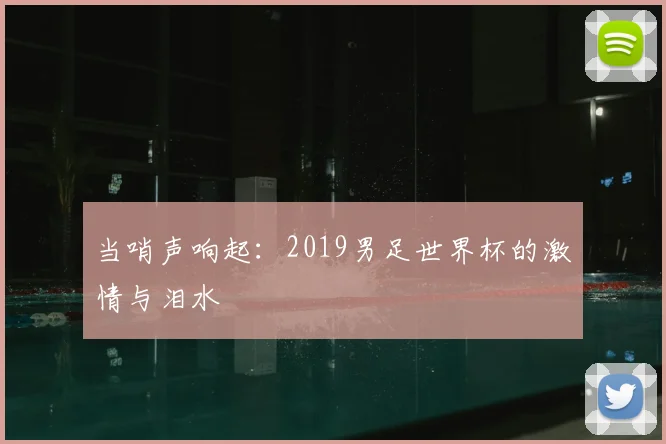 当哨声响起：2019男足世界杯的激情与泪水