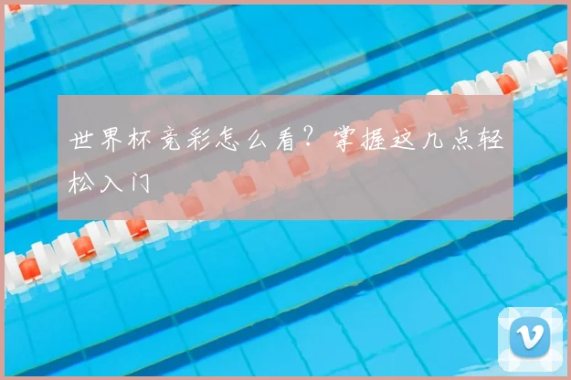 世界杯竞彩怎么看?掌握这几点轻松入门