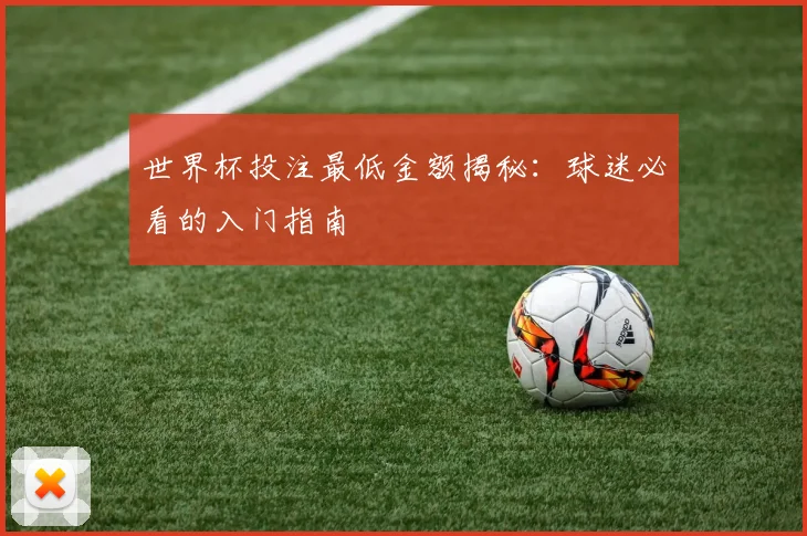 世界杯投注最低金额揭秘：球迷必看的入门指南