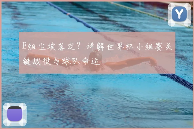 E组尘埃落定？详解世界杯小组赛关键战役与球队命运