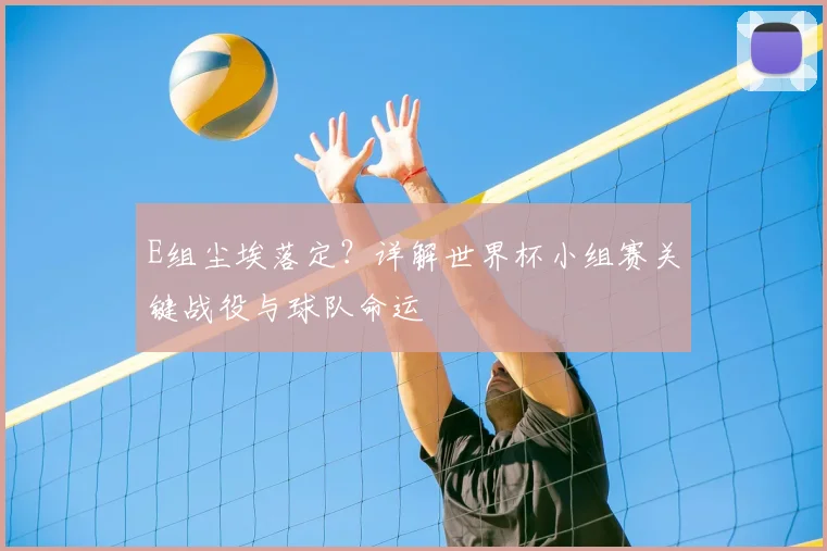 E组尘埃落定？详解世界杯小组赛关键战役与球队命运