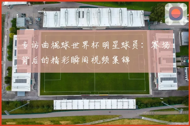 专访曲棍球世界杯明星球员：赛场背后的精彩瞬间视频集锦