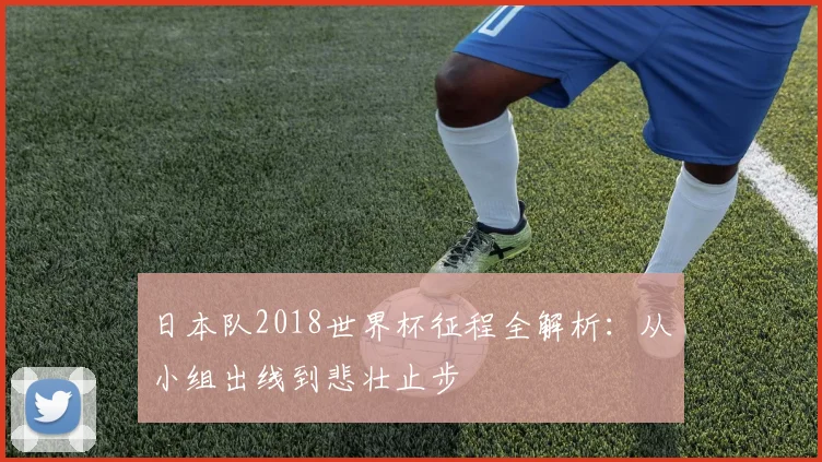 日本队2018世界杯征程全解析：从小组出线到悲壮止步