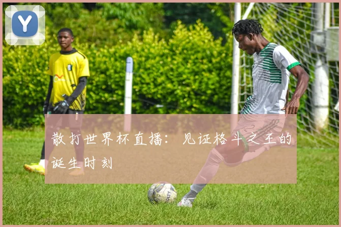 散打世界杯直播：见证格斗之王的诞生时刻