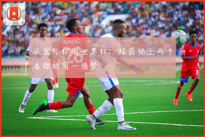 从国际杯到世界杯：绿茵场上两个名称的同一场梦